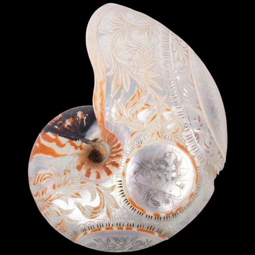481 - A 19th century nautilus shell, with carved and pierced decoration, inscribed 