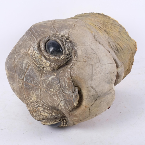 977 - A largescale prop study of a tortoise head, overall length approx 30cm
