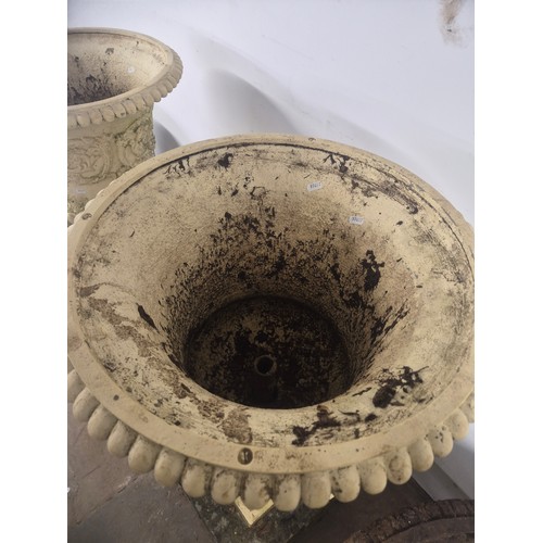 3001 - An pair of antique painted cast iron Medici style garden urns, with two handles and foliate decorati... 