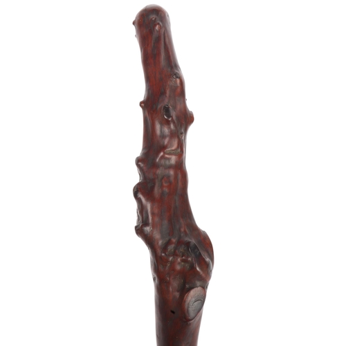Lot 270       