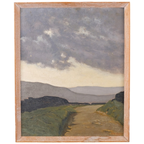 Lot 510       