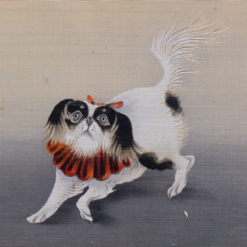 515 - Chinese School, study of a dog, watercolour on silk, in maple frame and glazed, overall 23cm x 30cm