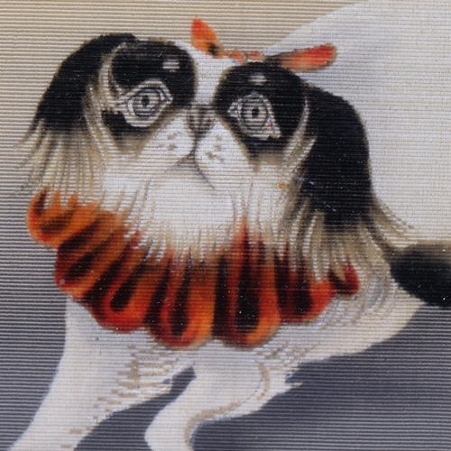 515 - Chinese School, study of a dog, watercolour on silk, in maple frame and glazed, overall 23cm x 30cm