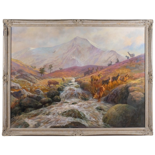 Lot 529       