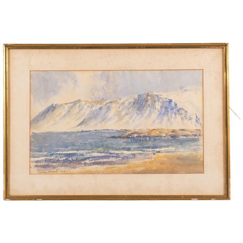 Lot 531       