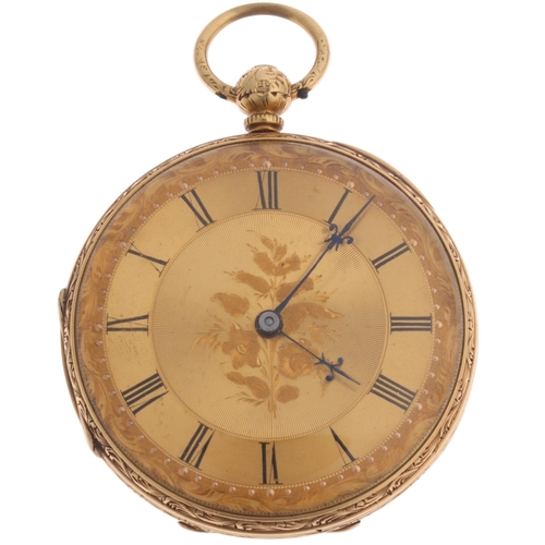 Lot 1029      