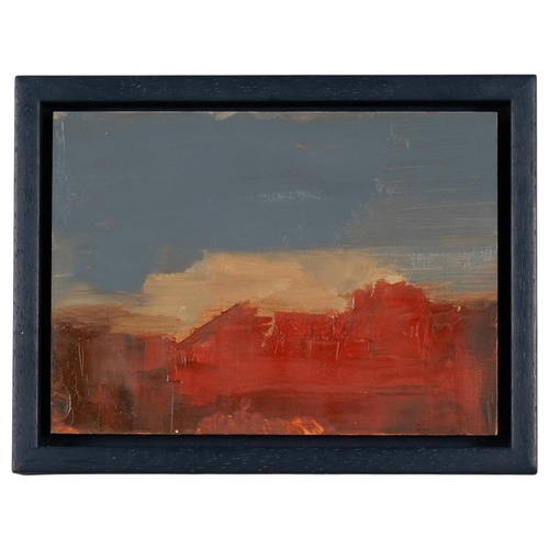 Lot 517       
