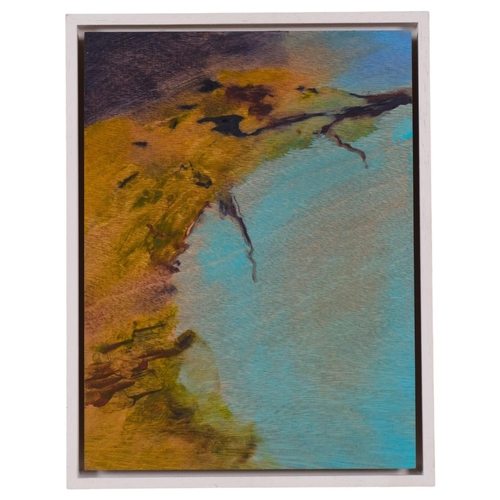 Lot 519       