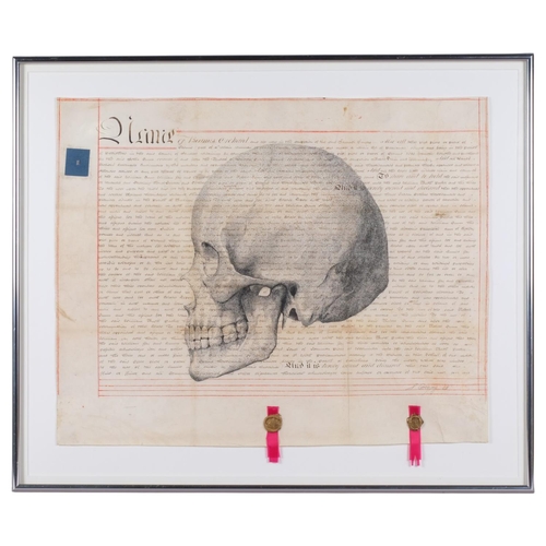 Lot 529       