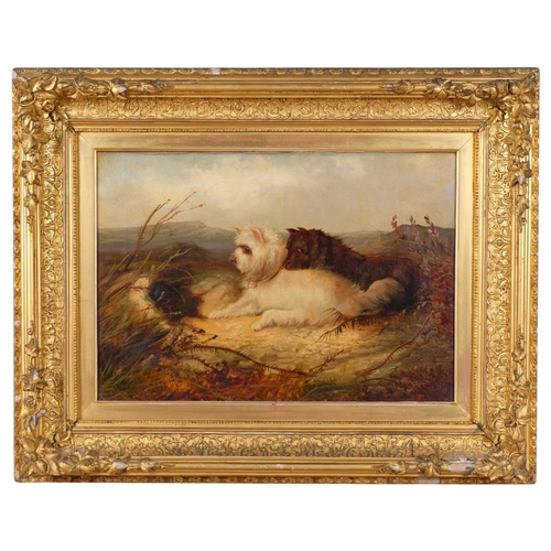 Lot 542       