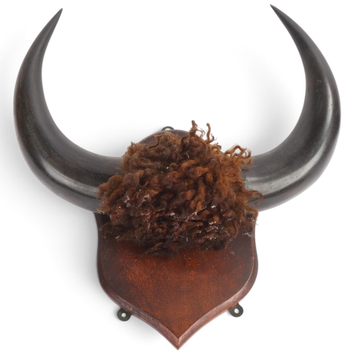 Lot 15        