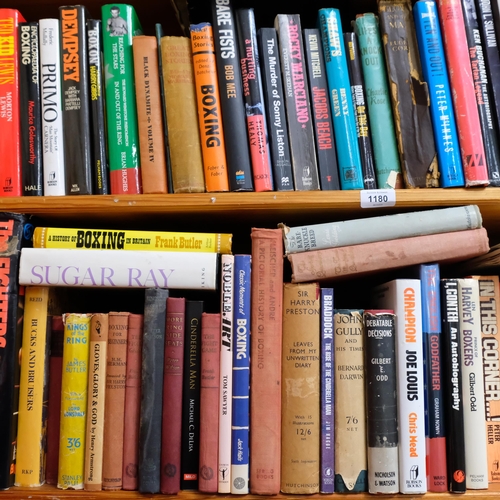 3 shelves displaying a broad and interesting selection of boxing ...