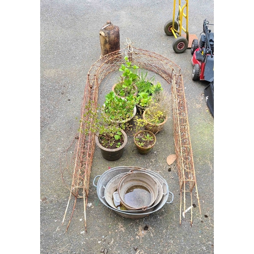 33 - A large decorative scrolled metal rose arch with weathered patina - 2.7m high X 1.25m wide - one sid... 