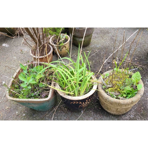 51 - Three assorted garden pots including a blue glazed pot, a reconstituted stone barrel form example, e... 