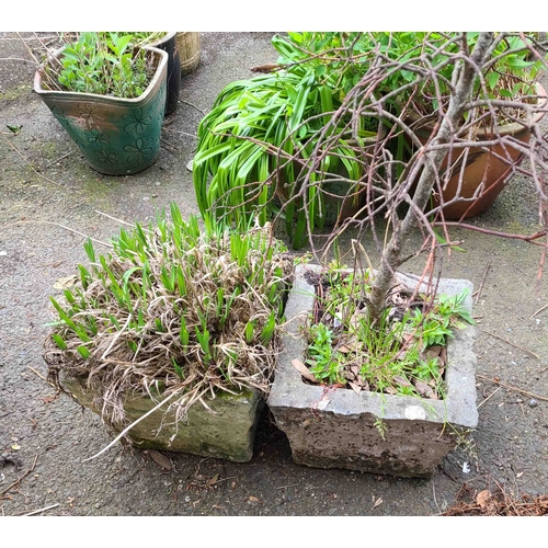 56 - Two reconstituted stone planters of square form with textured finish