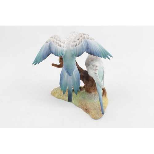 21 - Royal Crown Derby figure 'Budgerigars' XLIII Artist Y Harper 15cm in Height