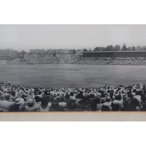 74 - RARE Large Original Panoramic Photograph South Africa v England 1939, Wanderers Old Ground, Johannes... 