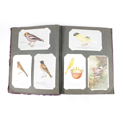 75 - Postcard album with assorted Postcards and ornithological related cards