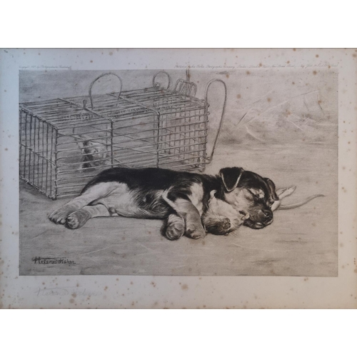 288 - Helena Fisher RA, mounted etching 'Resting on his Laurels' signed in Pencil 28 x 21cm