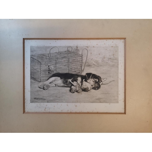 288 - Helena Fisher RA, mounted etching 'Resting on his Laurels' signed in Pencil 28 x 21cm