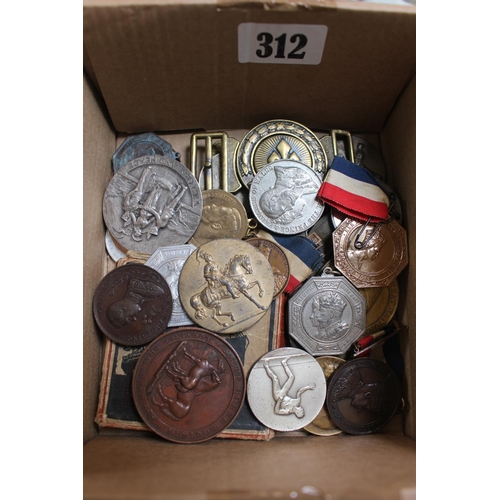 312 - Collection of 19thC and later Medallions inc. Boxed Lusitania, Shire Horse Society etc