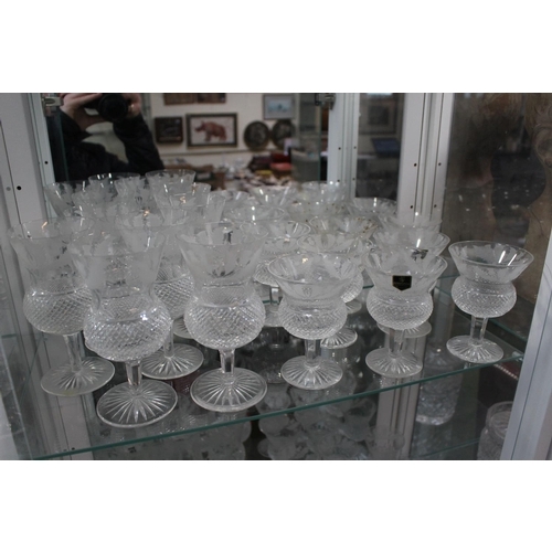 86 - Suite of Edinburgh Crystal Thistle pattern glassware comprising of Wine glasses, Tumblers, Whisky gl... 