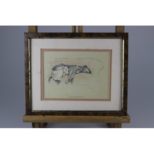 551 - Cecil Aldin Collection of 13 Cracker and Micky Dog Illustrations. These framed dog prints are from t... 