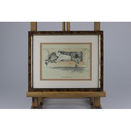 551 - Cecil Aldin Collection of 13 Cracker and Micky Dog Illustrations. These framed dog prints are from t... 