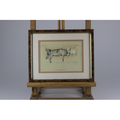 551 - Cecil Aldin Collection of 13 Cracker and Micky Dog Illustrations. These framed dog prints are from t... 