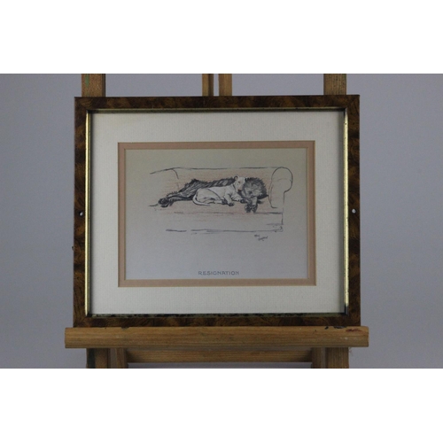 551 - Cecil Aldin Collection of 13 Cracker and Micky Dog Illustrations. These framed dog prints are from t... 