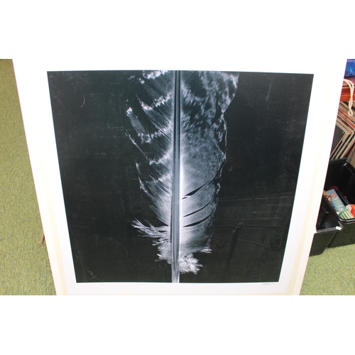 513 - Set of 5 mounted 'Feather' close up photographic prints, signed to bottom right and dated 2012. 69 x... 