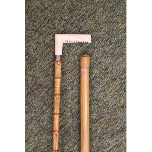 106 - Edwardian Bamboo Dandy cane with Silver and Gold collar  and bone handle with a Bamboo Baton