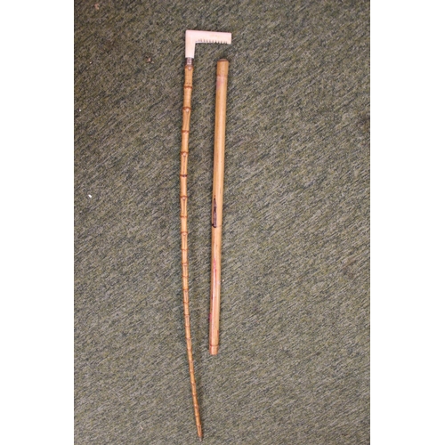 106 - Edwardian Bamboo Dandy cane with Silver and Gold collar  and bone handle with a Bamboo Baton