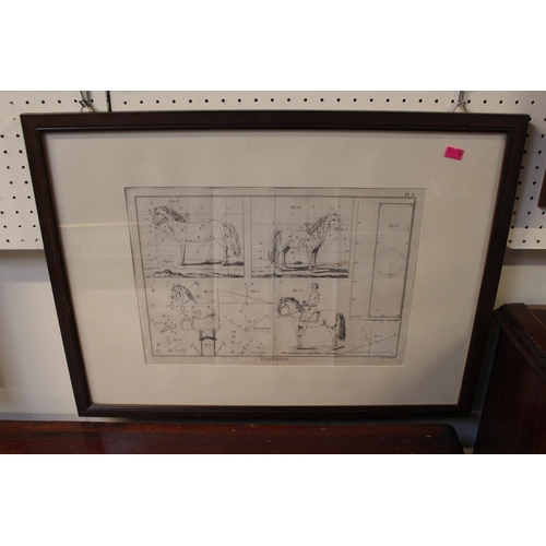 68 - Equitation plates 2 and 3. Pair of Engravings by Robert Riley possibly for Enclyclopedie by Diderot ... 