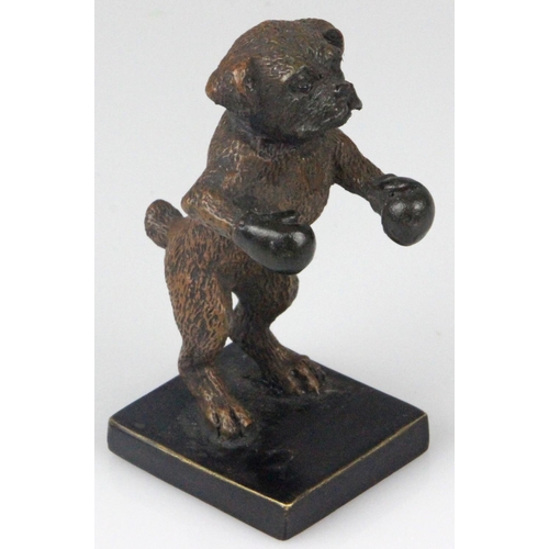 21 - Franz Bergman Cold Painted Bronze Of A Boxer Boxing Dog Original and rare Franz Bergman cold painted... 