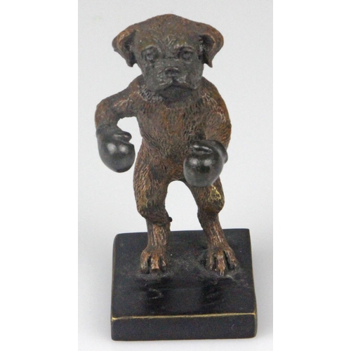 21 - Franz Bergman Cold Painted Bronze Of A Boxer Boxing Dog Original and rare Franz Bergman cold painted... 