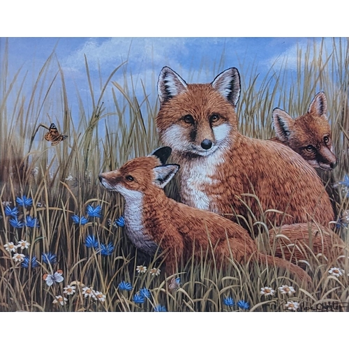 138 - Mark Chester b.1960 Wildlife artist. 'Fox and Cubs' Watercolour signed to bottom right dated 2015 . ... 