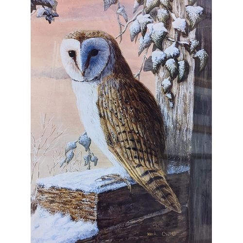 139 - Mark Chester b.1960 Wildlife artist. 'Barn Owl' Watercolour signed to bottom right dated 2015 . 51 x... 