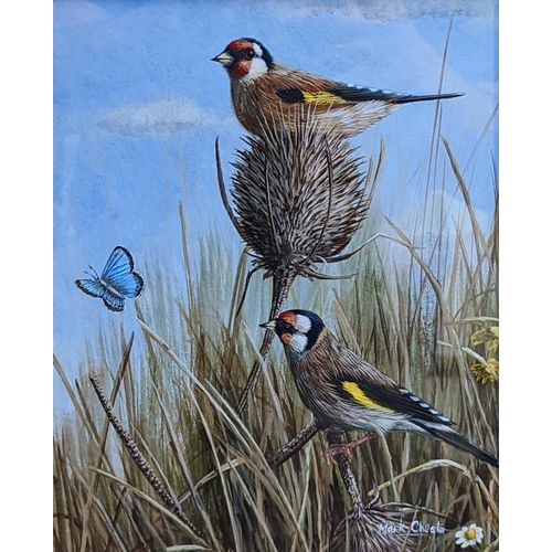 140 - Mark Chester b.1960 Wildlife artist. 'Goldfinches & Chalkhill Blue' Watercolour to bottom rightl dat... 