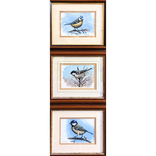 142 - Set of 3 Mark Chester b.1960 Wildlife artist. 'Coal Tit Study', 'Great Tit Study' and 'Blue Tit Stud... 