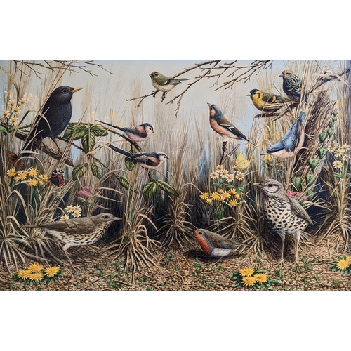 143 - Mark Chester b.1960 Wildlife artist. 'Summer Song birds' Watercolour signed to bottom right 65 x 91c... 