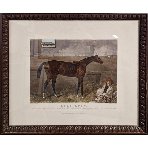 148 - Harry Hall (1814-1882) Engraving 'Lord Lyon' winner of the 2000 Guinea stakes at Newmarket the Derby... 