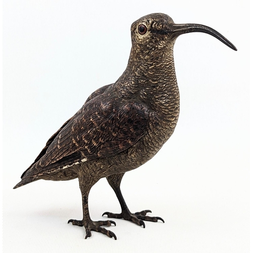 204 - An early 20th century Austrian cold painted bronze model of a woodcock or curlew attributed to Franz... 