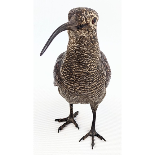 204 - An early 20th century Austrian cold painted bronze model of a woodcock or curlew attributed to Franz... 