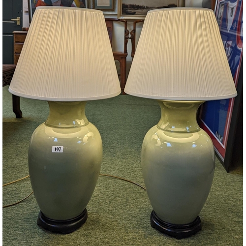 197 - Pair of Large Chinese celadon glaze lamps with brass fittings on hardwood bases, with classical plea... 