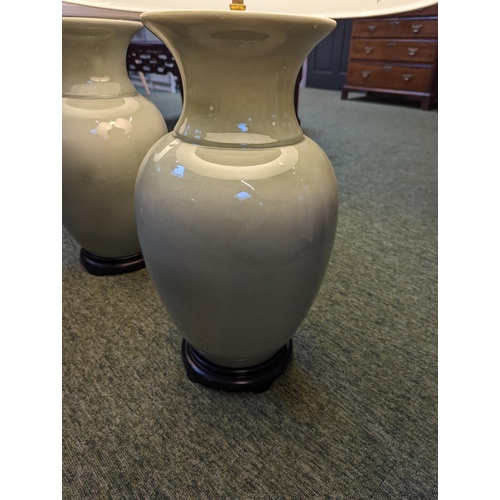 197 - Pair of Large Chinese celadon glaze lamps with brass fittings on hardwood bases, with classical plea... 