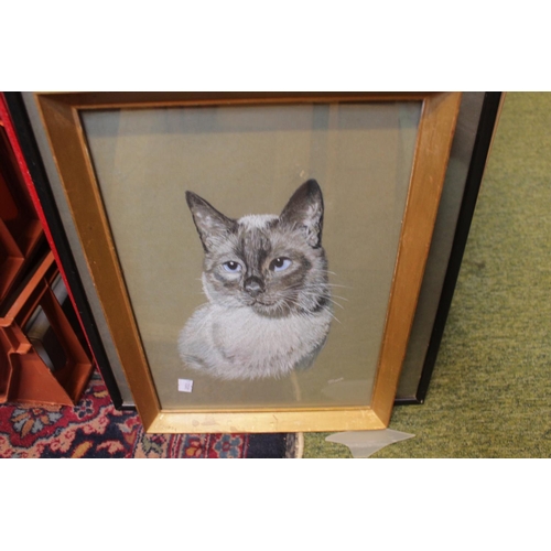 253 - Collection of assorted Framed pictures and prints