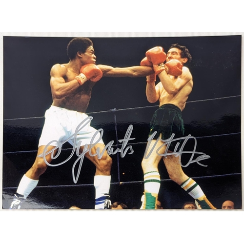 141 - Coloured Photograph signed by boxer 