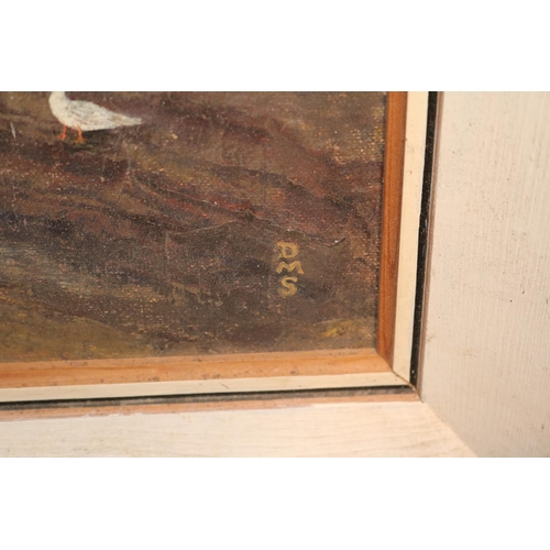 130 - Framed Oil by Myrtle Shepherd 'Seagulls Near Looe East Cornwall Society of Artists dated 1977 and Sy... 