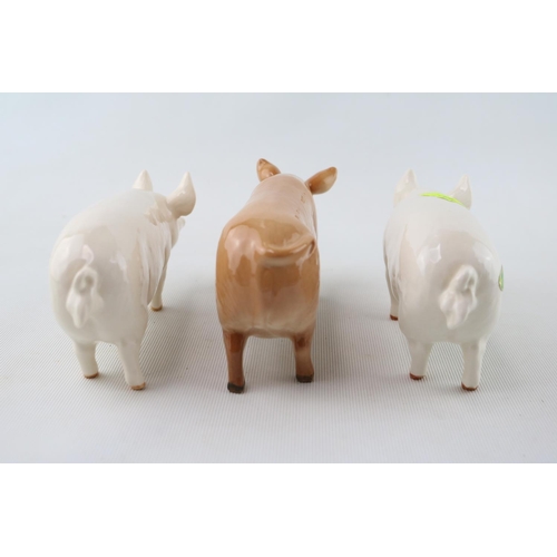 89 - 3 Royal Doulton & Beswick Tamworth Pigs